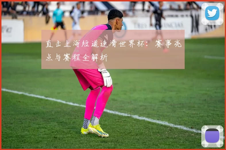 直击上海短道速滑世界杯:赛事亮点与赛程全解析