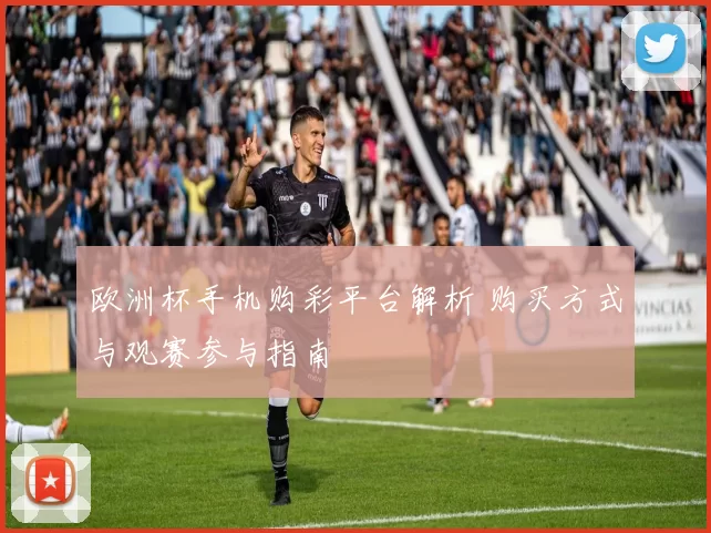 欧洲杯手机购彩平台解析 购买方式与观赛参与指南