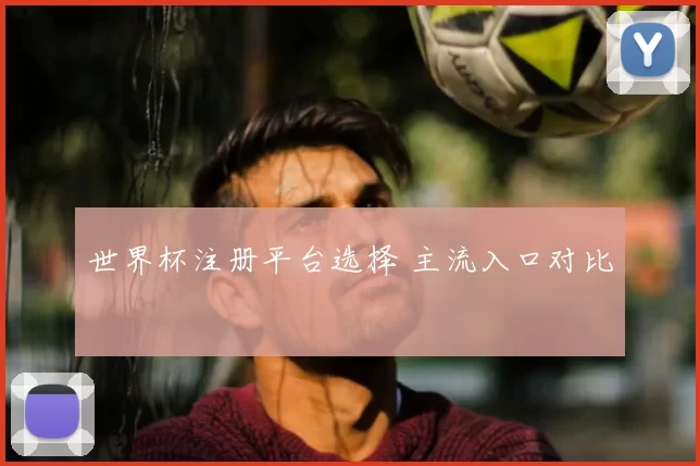 世界杯注册平台选择 主流入口对比