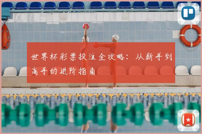 世界杯彩票投注全攻略:从新手到高手的进阶指南