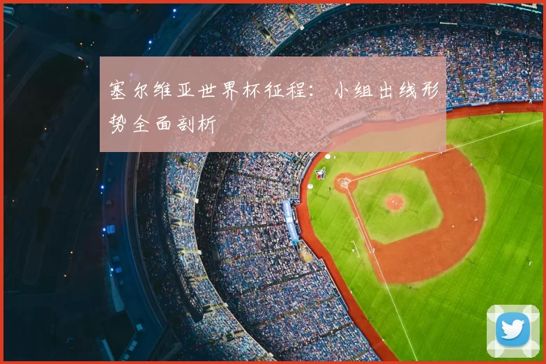 塞尔维亚世界杯征程:小组出线形势全面剖析