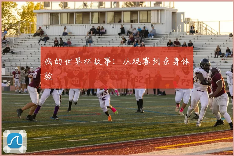 我的世界杯故事:从观赛到亲身体验