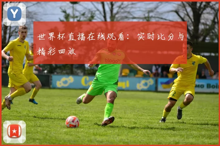 世界杯直播在线观看:实时比分与精彩回放