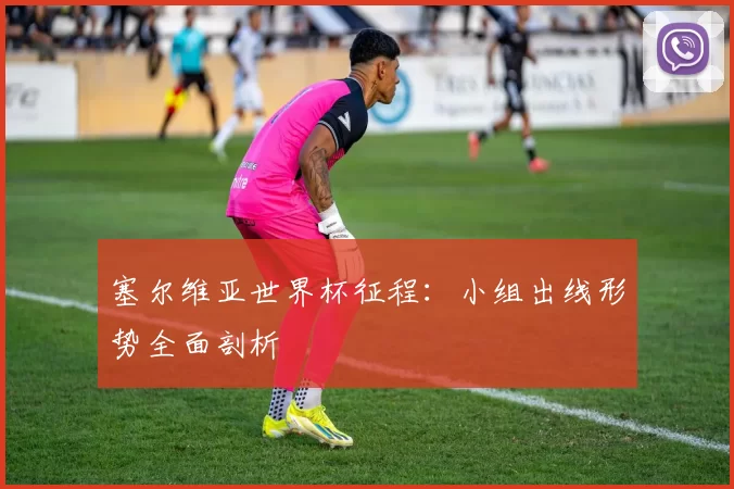 塞尔维亚世界杯征程:小组出线形势全面剖析
